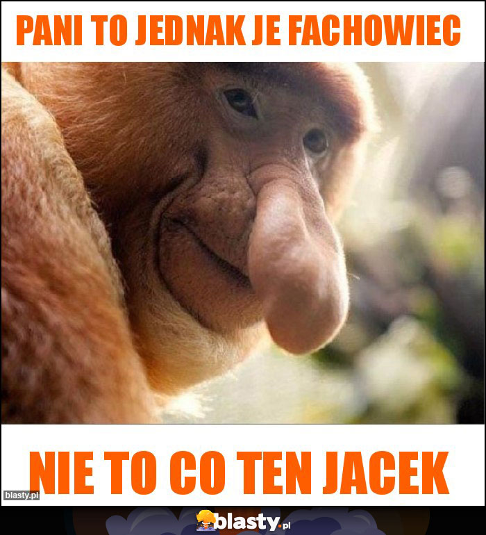 Pani to jednak je fachowiec