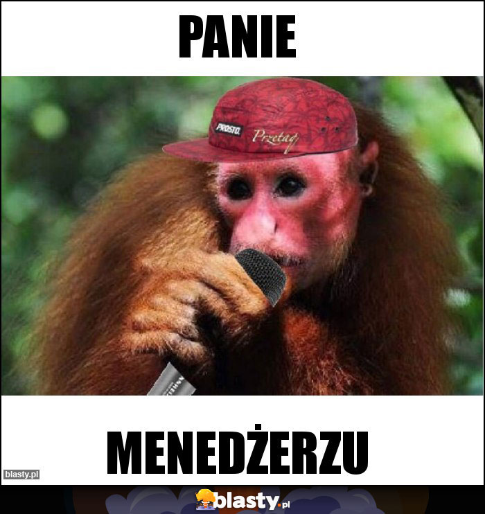 PANIE