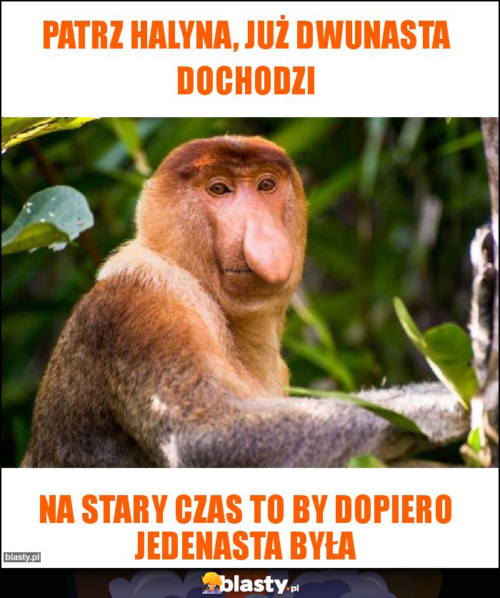 Patrz Halyna, już dwunasta dochodzi