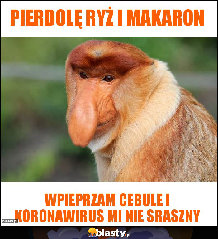 Pierdolę ryż i makaron