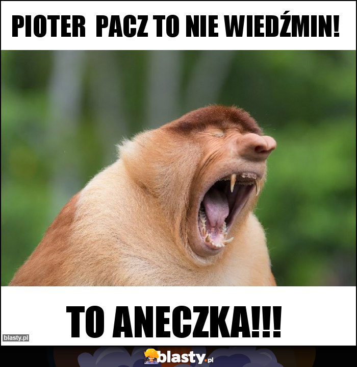PIOTER  PACZ TO NIE WIEDŹMIN!