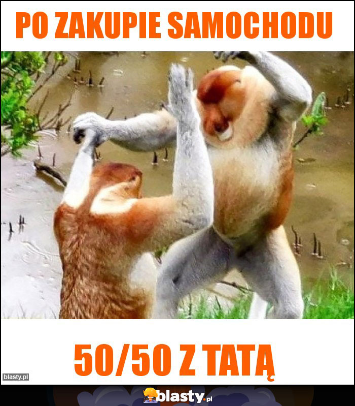 Po zakupie samochodu