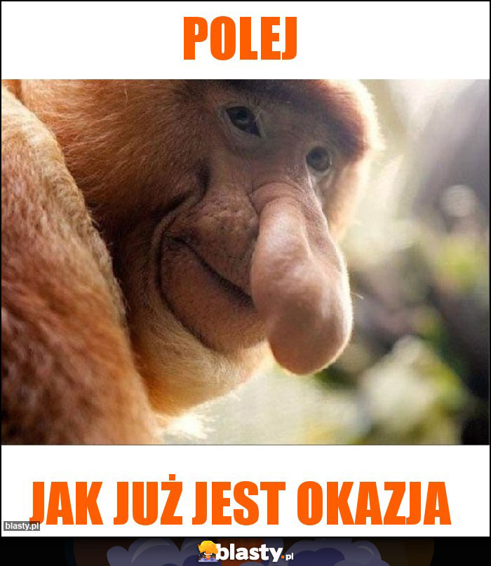 Polej