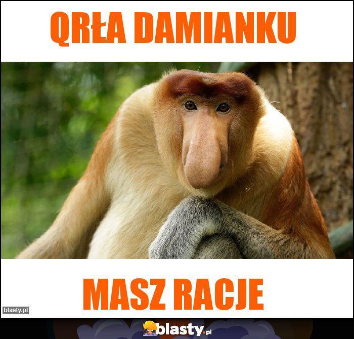 QRŁA DAMIANKU