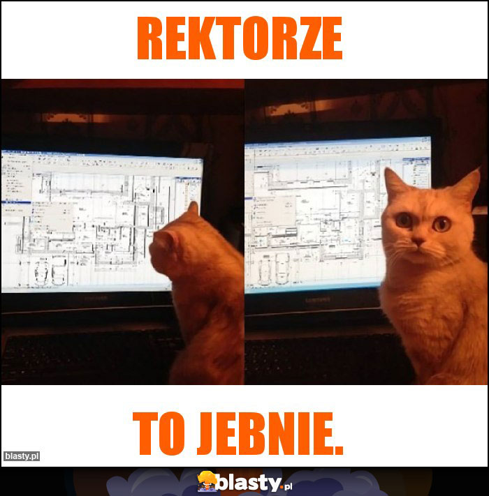 Rektorze