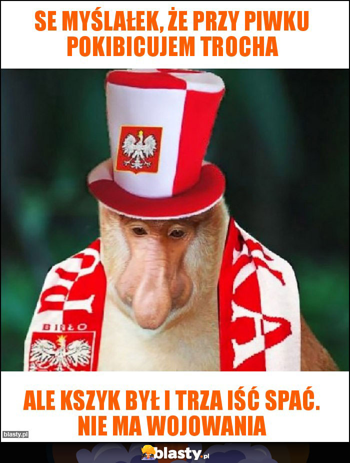 Se Myślałek, że przy piwku pokibicujem trocha