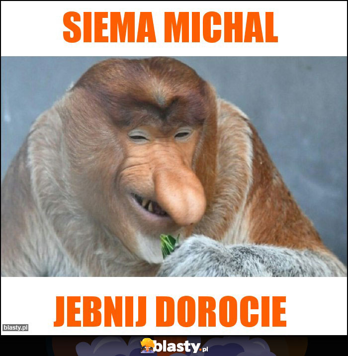 Siema Michal