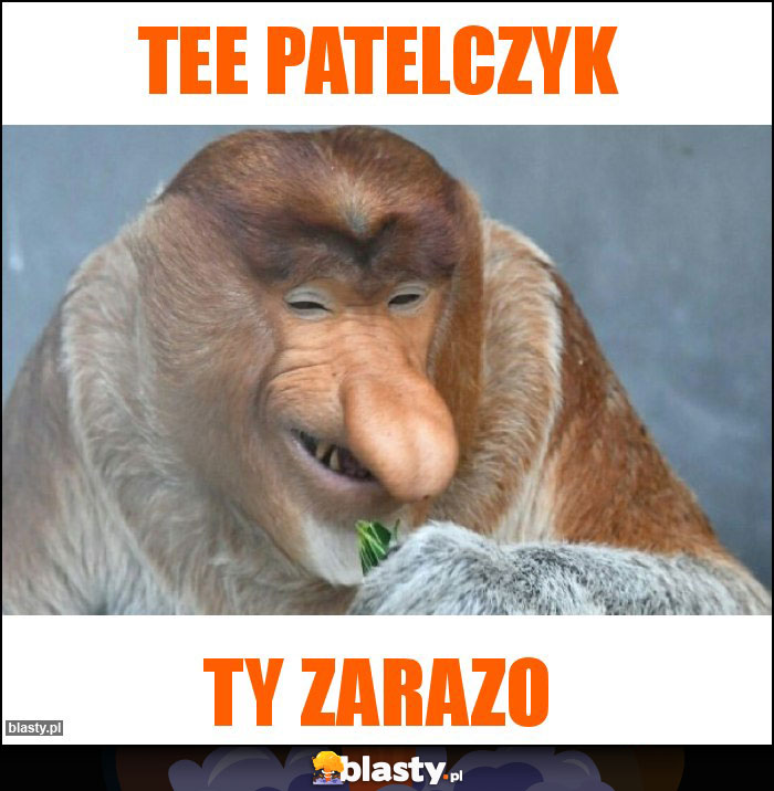 Tee Patelczyk