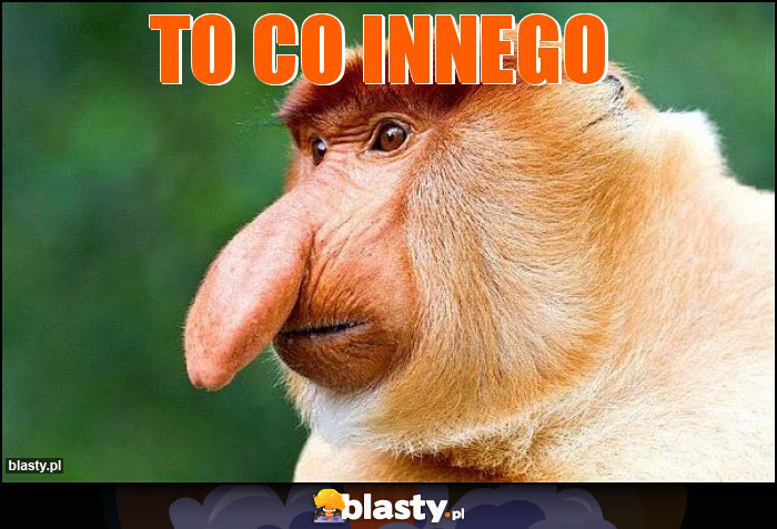 To co innego