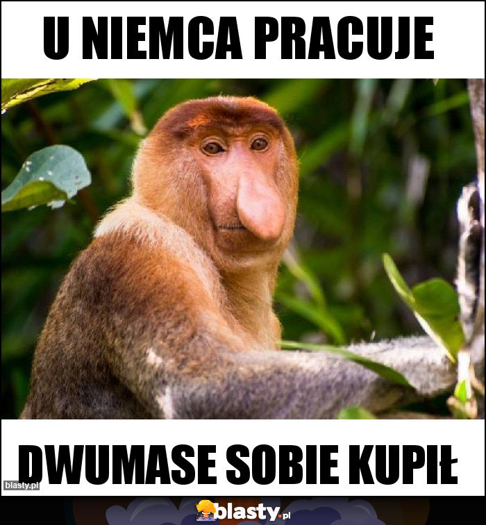 U Niemca pracuje