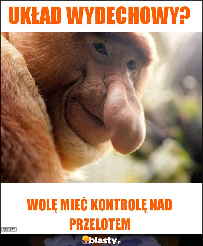 Układ wydechowy?