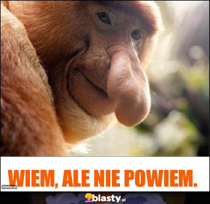 Wiem, ale nie powiem.