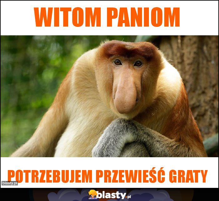 Witom Paniom