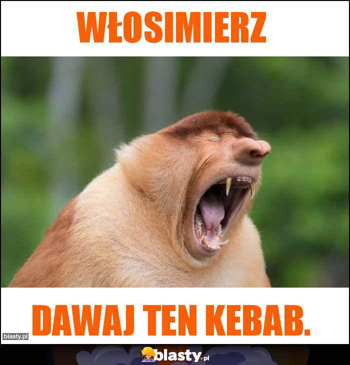 Włosimierz