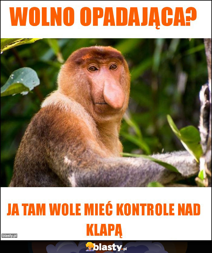 Wolno opadająca?