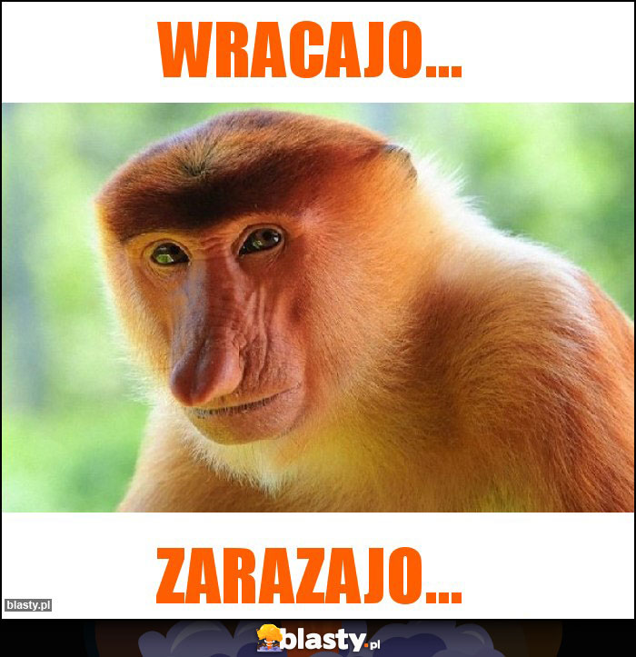 Wracajo...
