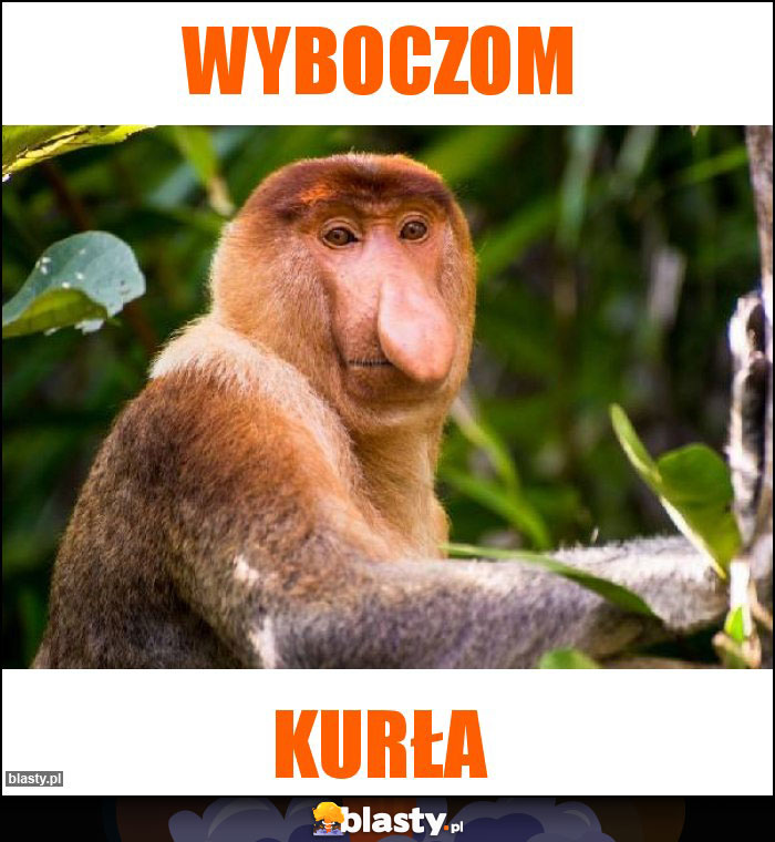 Wyboczom
