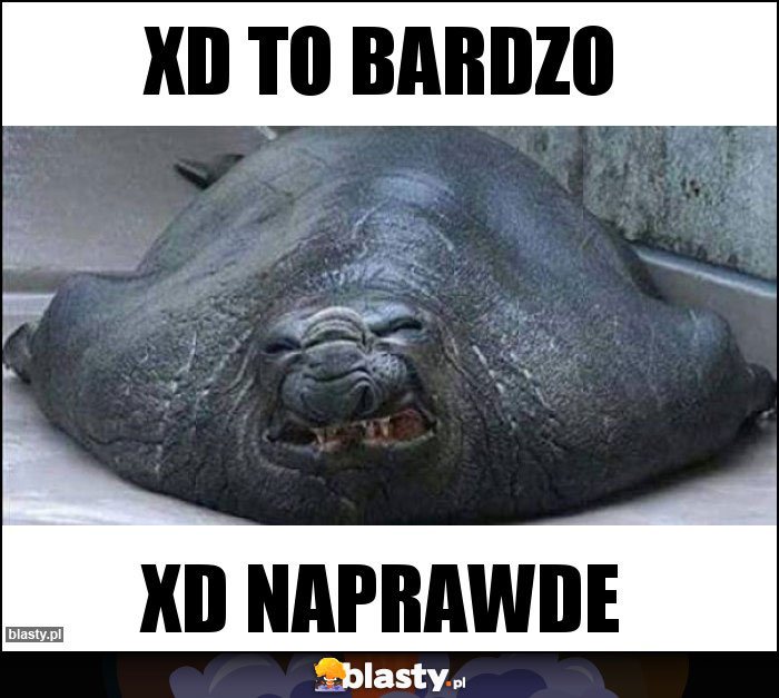 xd to bardzo