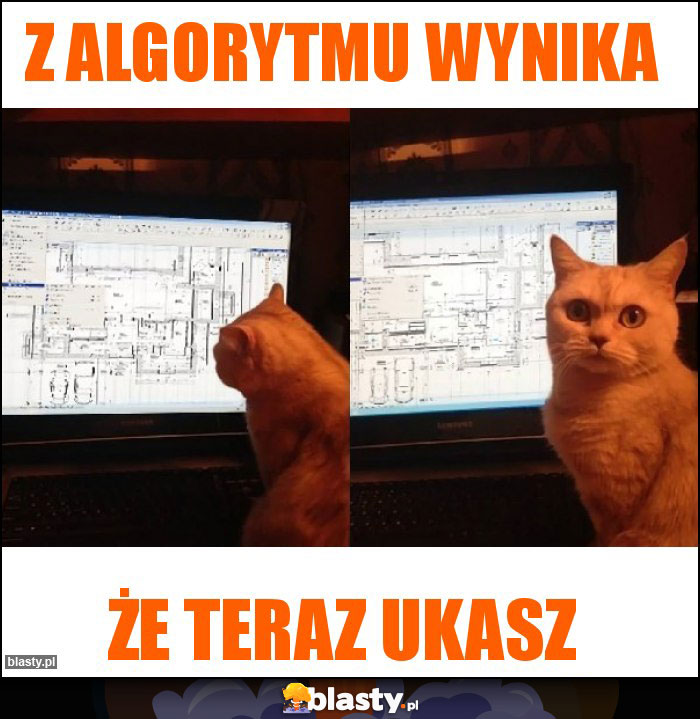 Z algorytmu wynika
