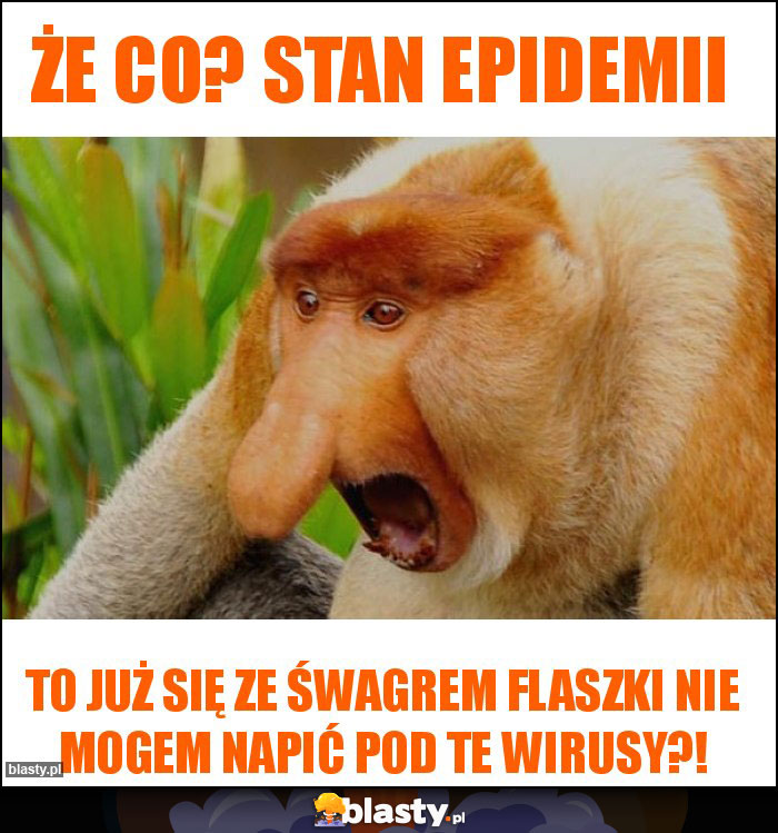 Że co? Stan epidemii