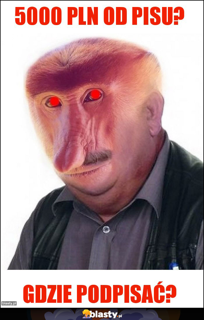 5000 PLN od PiSu?