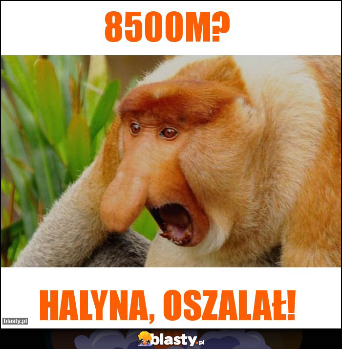 8500m?