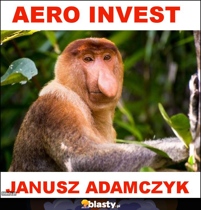 AERO INVEST