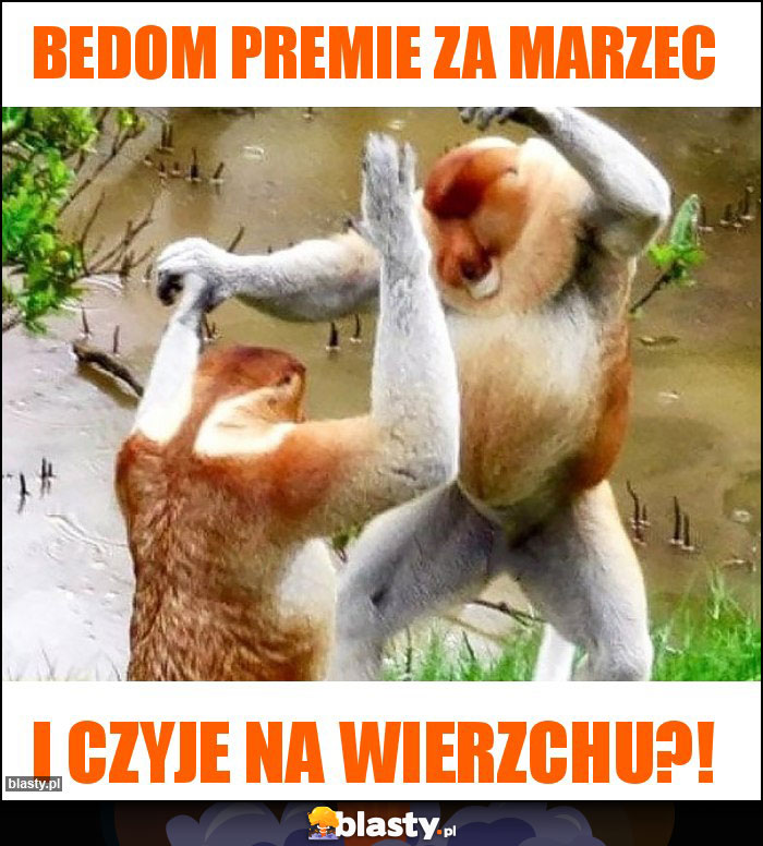 Bedom premie za marzec