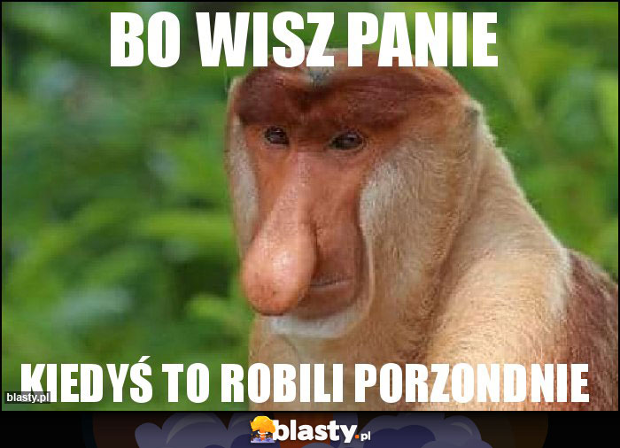 Bo wisz panie