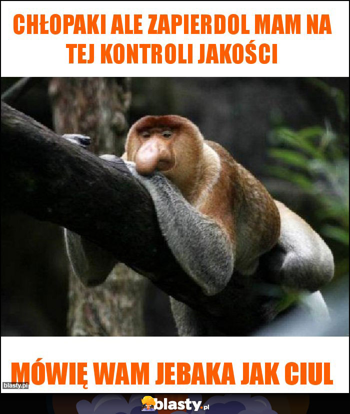 chłopaki Ale zapierdol mam na tej kontroli jakości