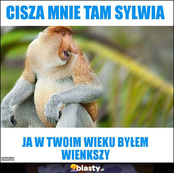Cisza mnie tam sylwia