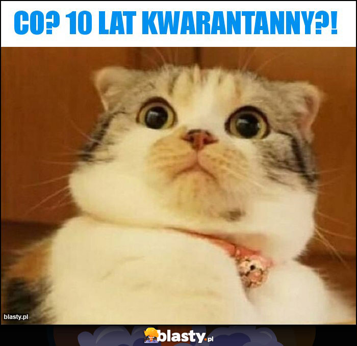CO? 10 LAT KWARANTANNY?!