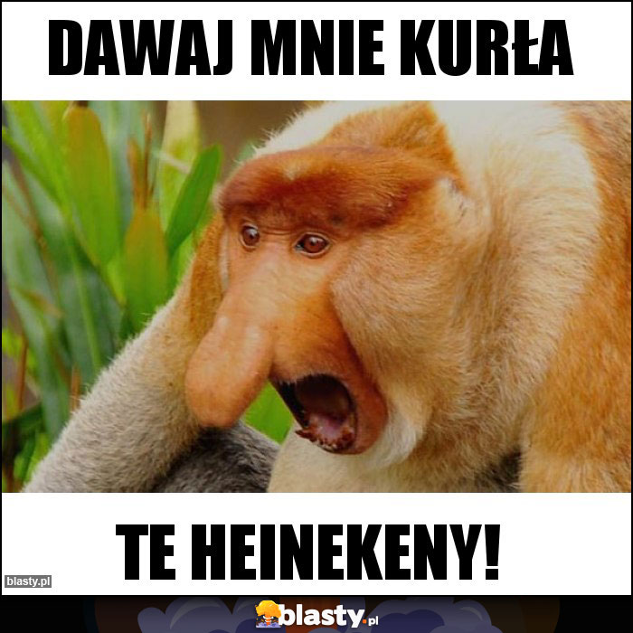 Dawaj mnie kurła