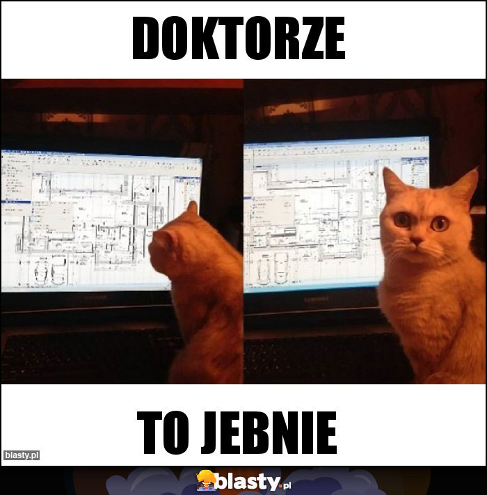 Doktorze