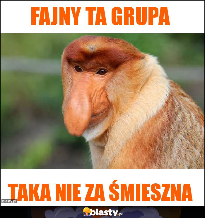 FAJNY TA GRUPA