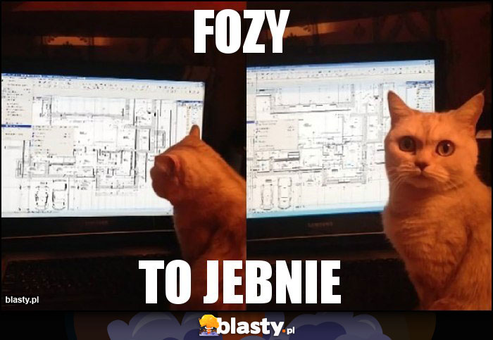 Fozy