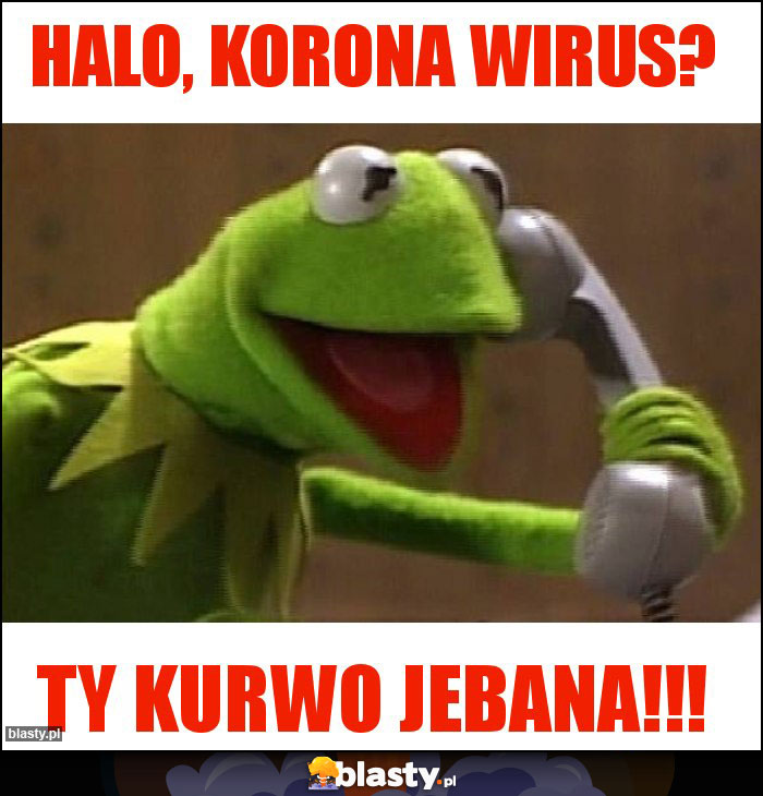 Halo, korona wirus?