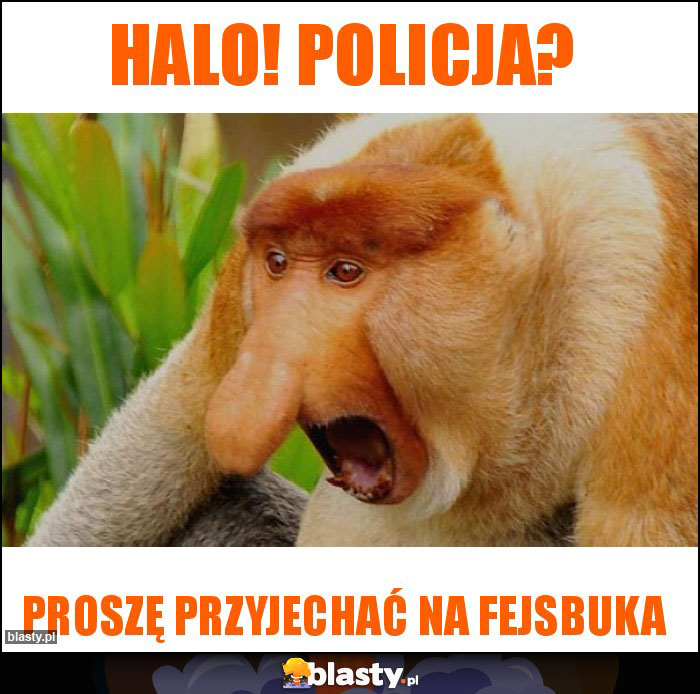 Halo! Policja?