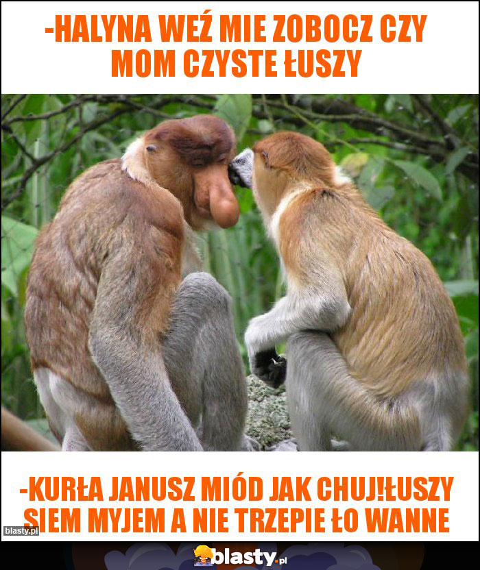 -Halyna weź mie zobocz czy mom czyste łuszy