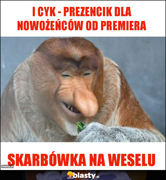 I Cyk - prezencik dla nowożeńców od premiera
