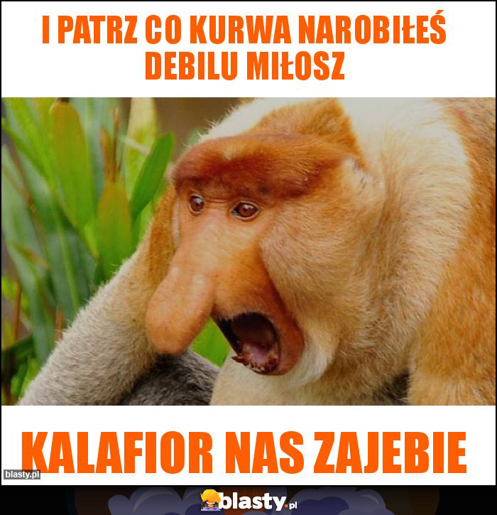 I patrz co kurwa narobiłeś debilu miłosz