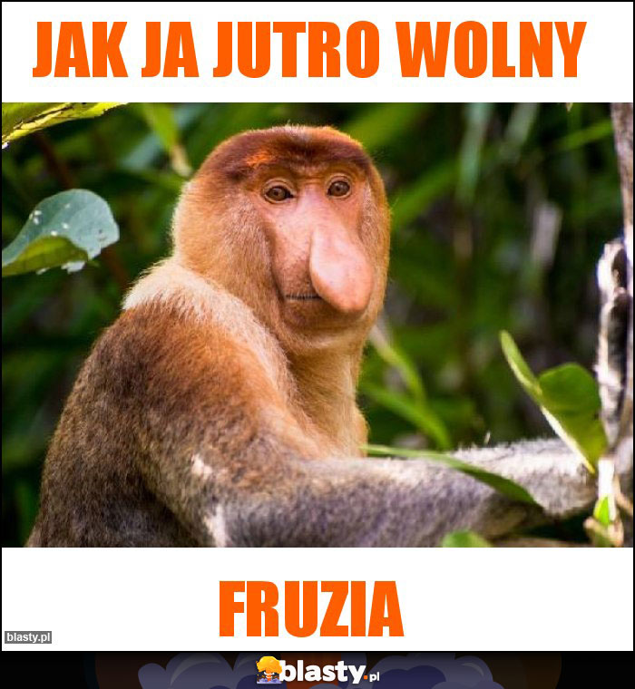 Jak ja jutro wolny