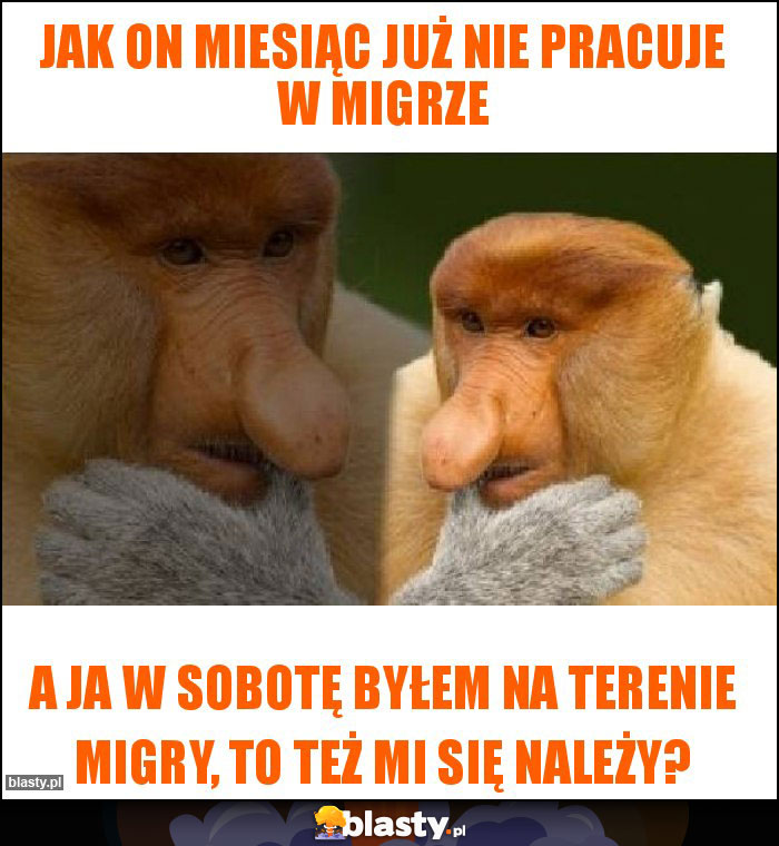 Jak on miesiąc już nie pracuje w migrze