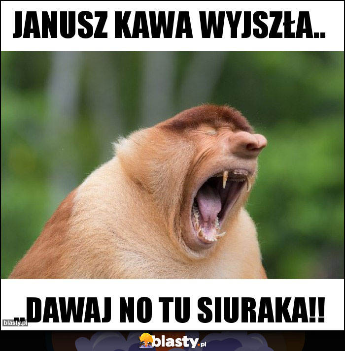 Janusz kawa wyjszła..
