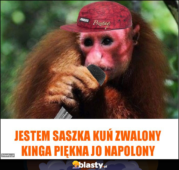 Jestem Saszka kuń zwalony Kinga piękna jo napolony