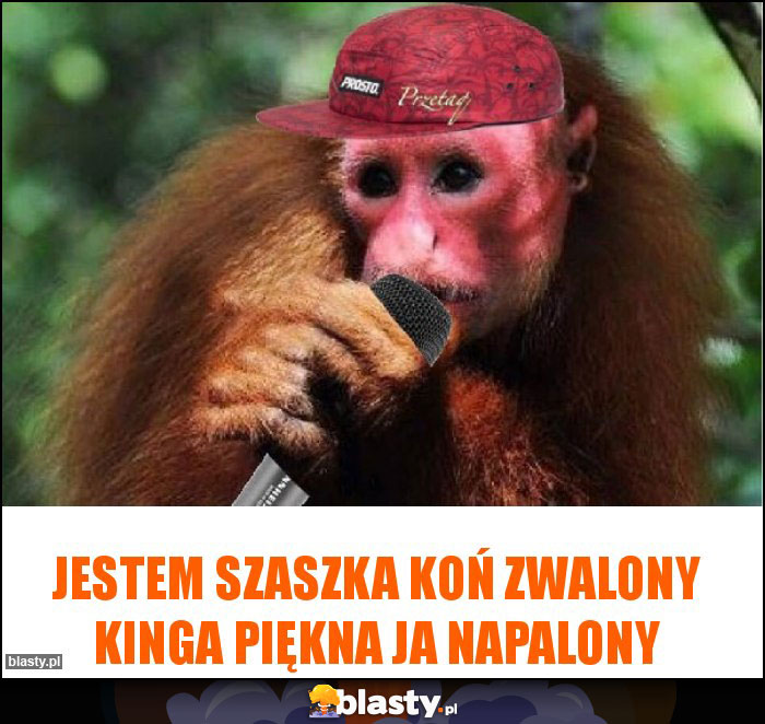 Jestem Szaszka koń zwalony Kinga piękna ja napalony
