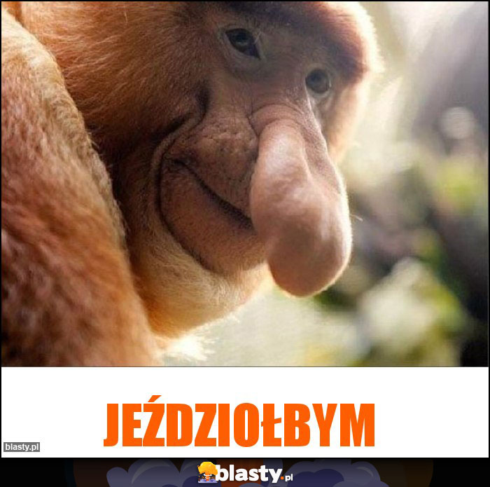 Jeździołbym