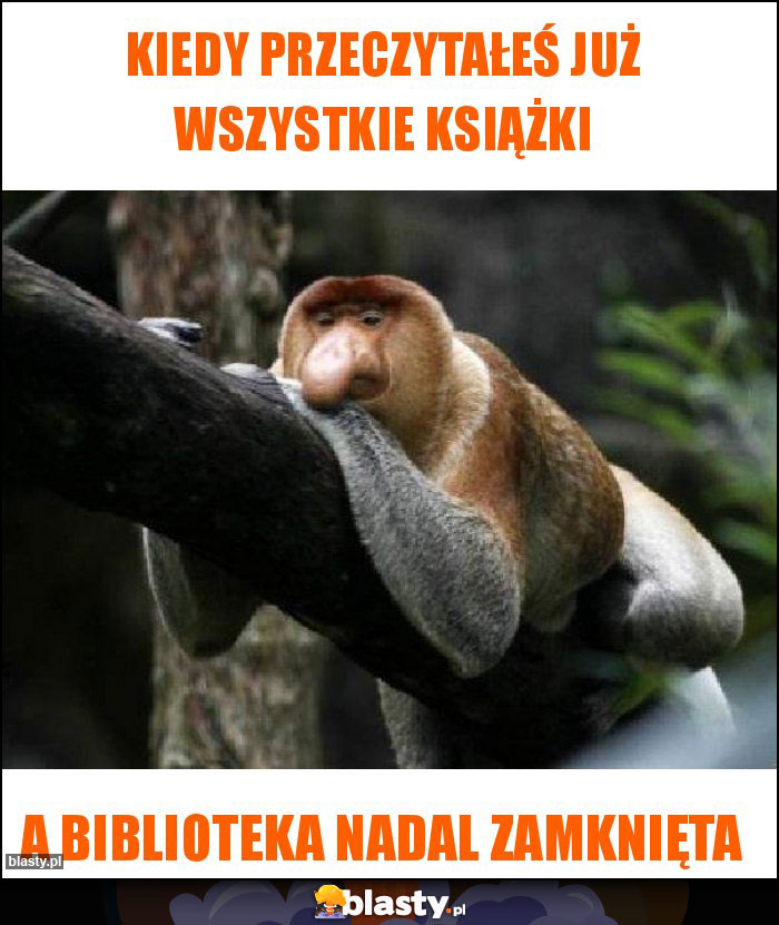 Kiedy przeczytałeś już wszystkie książki