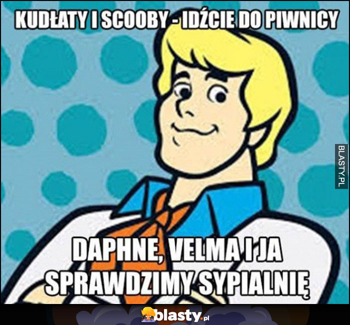 Kudłaty i Scooby idźcie do piwnicy, Daphne, Velma i ja sprawdzimy sypialnię