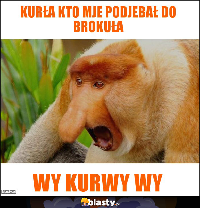 Kurła kto mje podjebał do brokuła